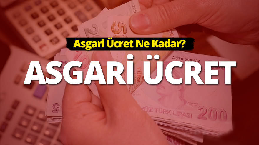 Asgari Geçim Ücreti Nedir? AGİ nedir?